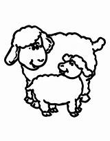 Sheep Lamb Coloring Lion Pages Outline Drawing Clipart Color Realistic Printable Clip Cliparts Getdrawings Getcolorings Clipartmag Print March Library Popular sketch template