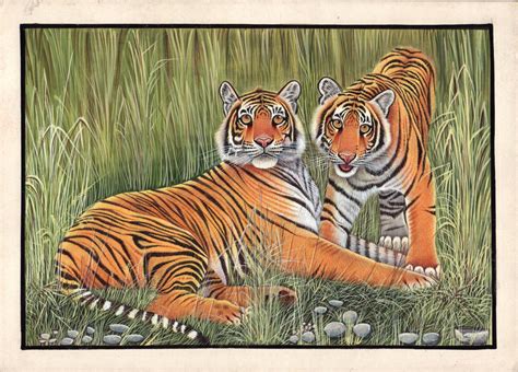 bengal tigers painting handmade indian miniature wildlife animal