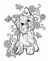 Yorkie Terrier Coloring Pages Dog Elsharouni Cindy Yorkshire Print Puppy Cute Adult Animal Bulldog Painting Printable Fineartamerica Sheets Choose French sketch template