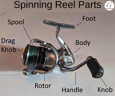 spinning reel parts      buying  reel