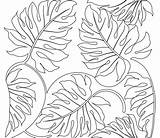 Coloring Leaf Leaves Jungle Drawing Pages Tropical Fall Rainforest Google Drawings Printable Realistic Plants Search Tree Rain Forest Color Lion sketch template