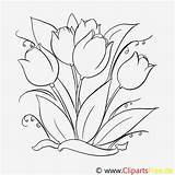 Ausmalbilder Blumen Ausdrucken Tulpen Malvorlage Vorlagen Kostenlos Malvorlagen Erstaunlich Erschwinglich Ausmalbild Frisch Vorlage Tulips Blumenzeichnung Malvorlagenkostenlos sketch template
