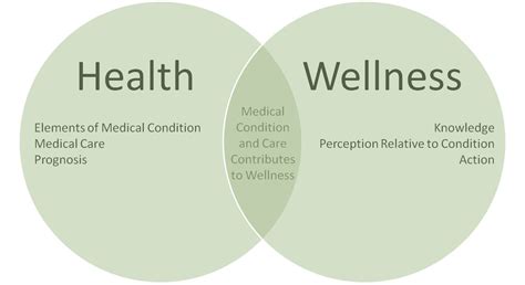 arriba  imagen wellness coach definition abzlocalmx