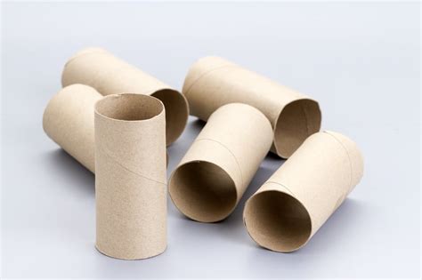 ebay toilet paper rolls discount clearance save  jlcatjgobmx