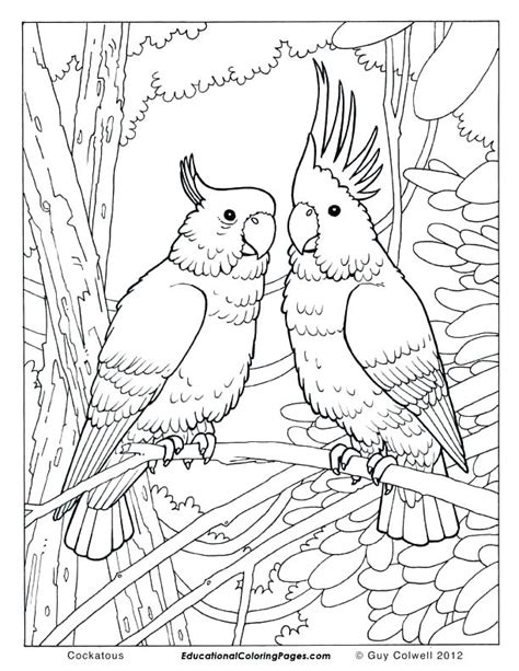 printable realistic animal coloring pages  getdrawings