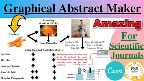 graphical abstract   scientific journalsuseful
