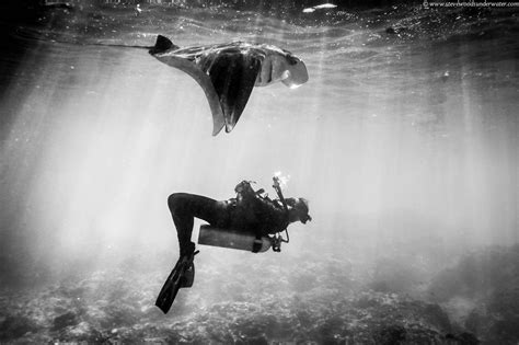 Great Black And White Shot From Steve Woods Underwater