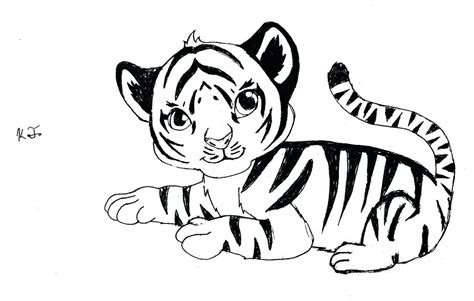baby tiger drawing    clipartmag