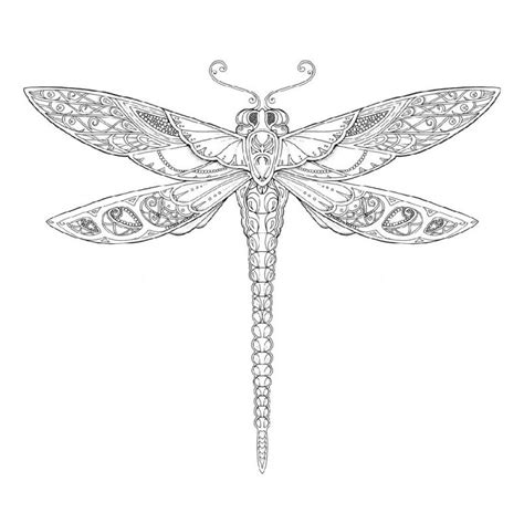 dragonfly coloring pages  adults dragonfly color  number