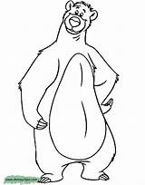 Baloo Colorare Orso Giungla Drawings Selva Cgcreativeshop Lb sketch template