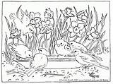 Coloring Pages Birds Feeding Bird Activity Daffodils sketch template