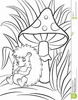 Hedgehog Sveglio Istrice Dorme Fungo Piccolo Vicino Mushroom sketch template