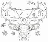 Antler Antlers Buck Root sketch template