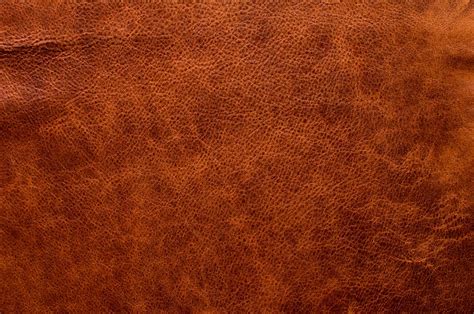 aniline leather    care   chambers natural products