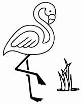 Flamingos Pintar Imprima Certamente Aplicação Sucesso Poplembrancinhas sketch template