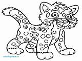 Cheetah Coloring Pages Baby Jaguar Leopard High Animal Drawing Rica Costa Quality Easy Snow Little Print Animals Color Printable Jaguars sketch template