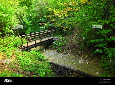 wooden bridge  creek stock photo alamy