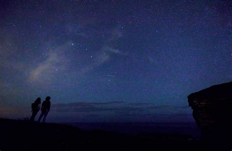 perseids meteor shower stunning celestial sight