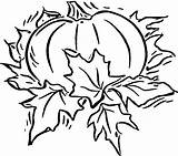 Pumpkins 출처 Clipartmag sketch template