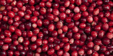 cranberry benefits  nutrition  healthy reasons  eat
