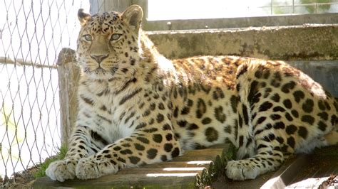 hotels closest  marwell zoo  winchester    cancellation  select