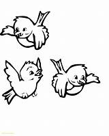 Bird Kids Drawing Getdrawings Birds Coloring sketch template