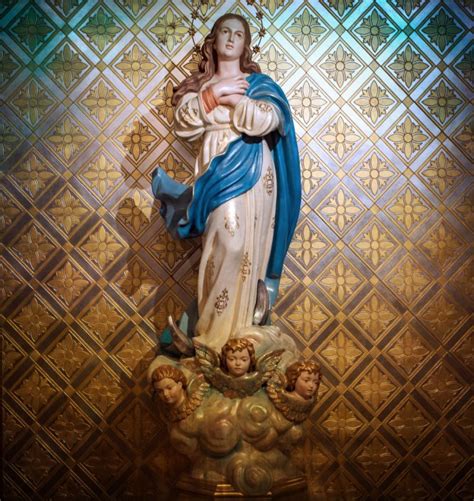 solemnity   immaculate conception solemnity  december