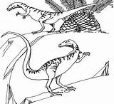 Dinosaur Compsognathus Pages Coelophysis Coloringpagesonly Coloring sketch template