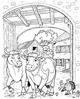 Koeien Koe Kleurplaten Boerderij Kleuren Flevoland Volwassenen Farm Kuh Dieren Ferme Boerderijdieren Peuter Ausmalen Oren Sitik Rodo sketch template