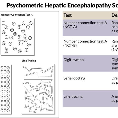 psychometric hepatic encephalopathy score phes consists   battery  scientific