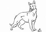 Shepherd German Coloring Pages Dog Drawing Line Shepard Drawings Puppy Print Kids Printable Color Clipart Dogs Sheets Puppies Animal Kindergarten sketch template
