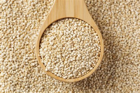 la quinoa pura proteina logic alimentaria