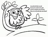 Coloring Owls sketch template