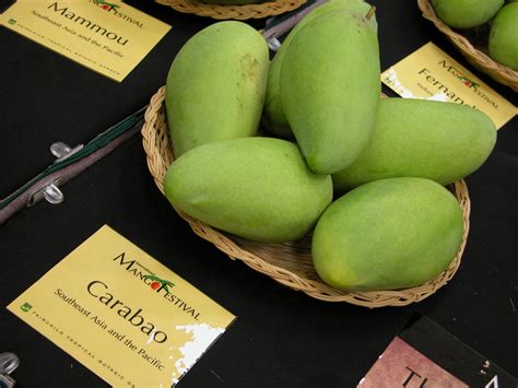 mindanao farmers ship mango  uae  filipino times