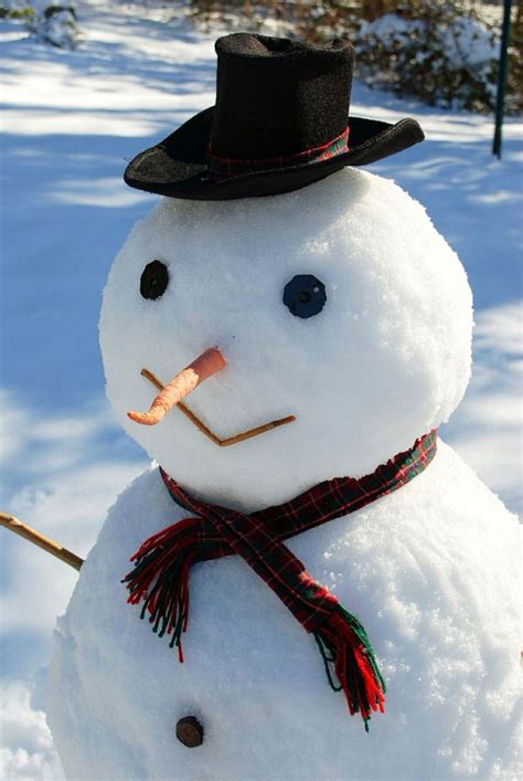 cute snowman winter christmas pinterest