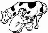 Cow Coloring Pages Dairy Getdrawings Jersey sketch template