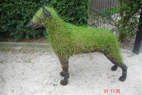 vorm van gras gras op een figuur bron cis van der linden flickr