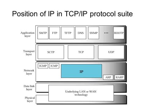 internet protocol ip network encyclopedia