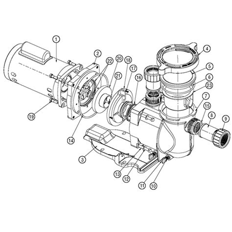 hayward pool pump motor parts diagram reviewmotorsco