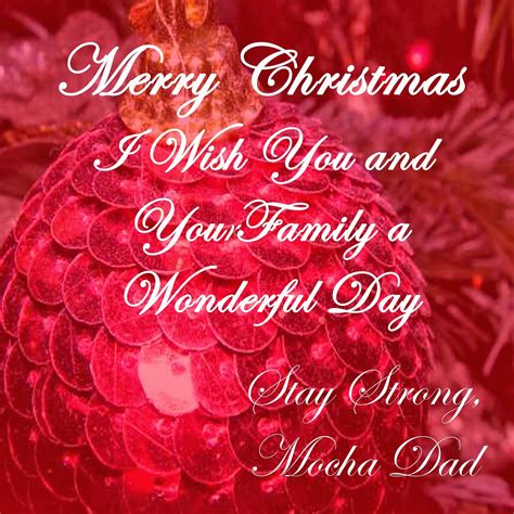 top  merry christmas images omg   merry christmas  happy birthday wishes