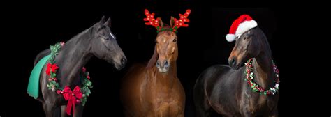 hn christmas carols  horses song horse nation