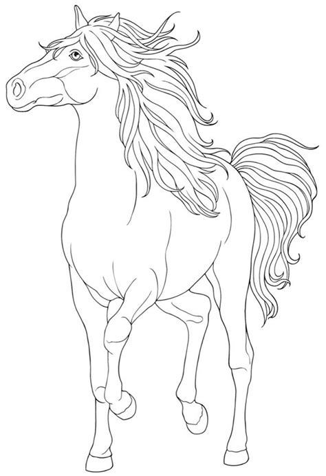 dover publications horse coloring pages animal coloring