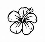 Flowers Drawing Samoan Flower Coloring Pages Printable Easy Hawaiian Silhouette Fruits sketch template