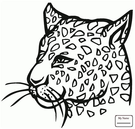 baby cheetah drawing  getdrawings