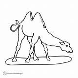 Camel Coloring Hump Two Camels Pages Egyptian Kamel Color Printable Ausmalen Zum Drawing Supercoloring sketch template