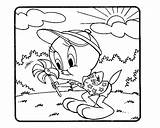 Titi Coloriage Minet Sylvester Tweety Coloriages Imprimer Kb Danieguto sketch template