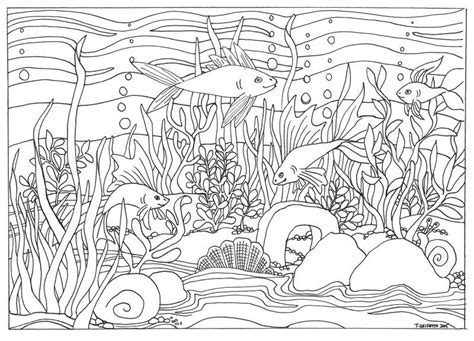 aquarium coloring pages coloring pages