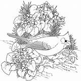 Coloring Pages 1000 Bird Print Adults Getcolorings Color Printable sketch template