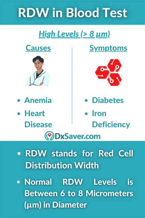 rdw blood test normal levels   high  levels  tested  rdw
