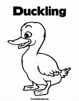 Duckling Duck Outline Coloring Pages Clipart Hunting Clip Library Popular Coloringhome Color Books sketch template